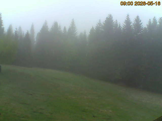North camera Image from the north-facing camera