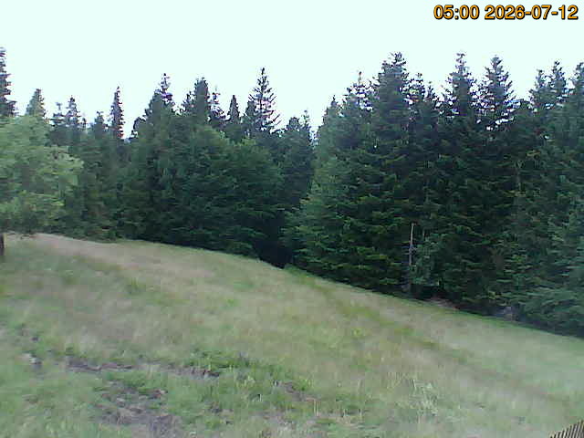 North camera Image from the north-facing camera
