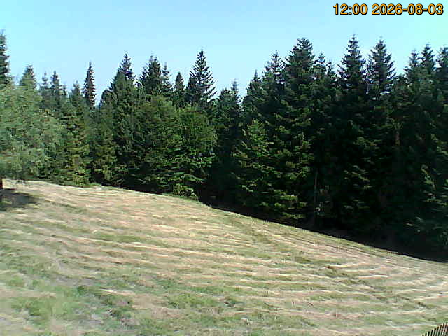 North camera Image from the north-facing camera