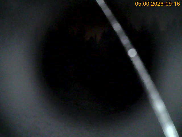 North camera Image from the north-facing camera