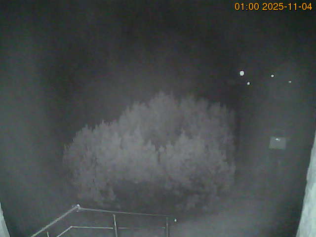 South camera Image from the south-facing camera