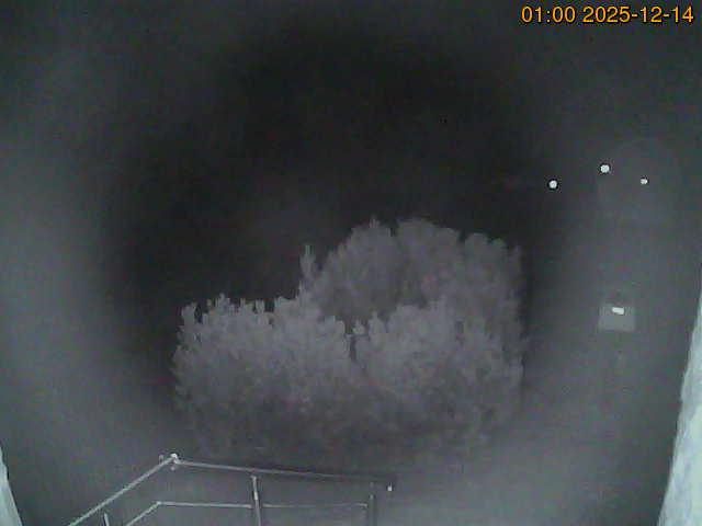 South camera Image from the south-facing camera