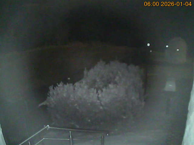 South camera Image from the south-facing camera