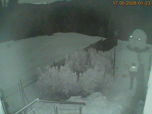 South camera Image from the south-facing camera