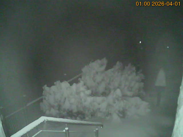 South camera Image from the south-facing camera