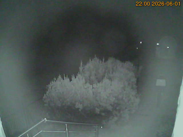 South camera Image from the south-facing camera