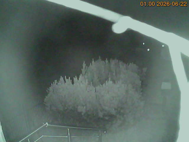 South camera Image from the south-facing camera