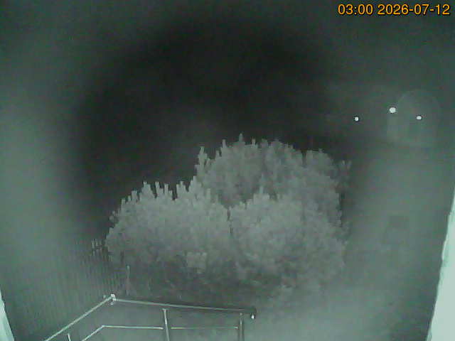 South camera Image from the south-facing camera