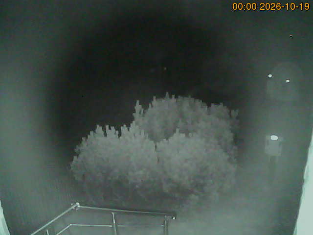 South camera Image from the south-facing camera